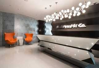 安徽本地城镇绿化苗培育过程